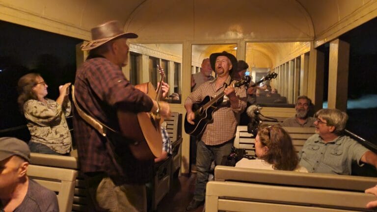 Onboard the excursion train